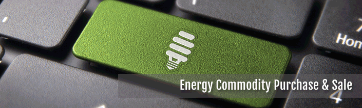 Energy Commodity Purchase and Sale
